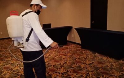 Protección total para tu hogar en invierno: Cómo Catchfyre combate los riesgos de incendio