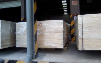 Protección Anti-incendios: Catchfyre vs otros productos