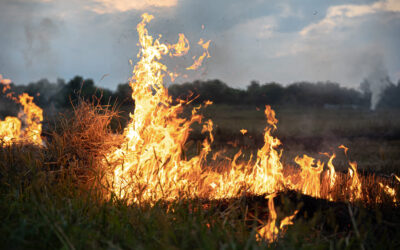 Preparación para temporada de incendios en México