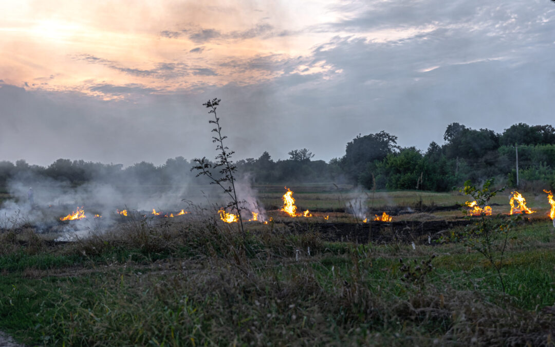 Temporada de incendios forestales en México