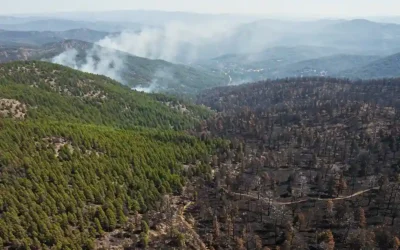 Incendios forestales en México: por qué abril es el mes más crítico