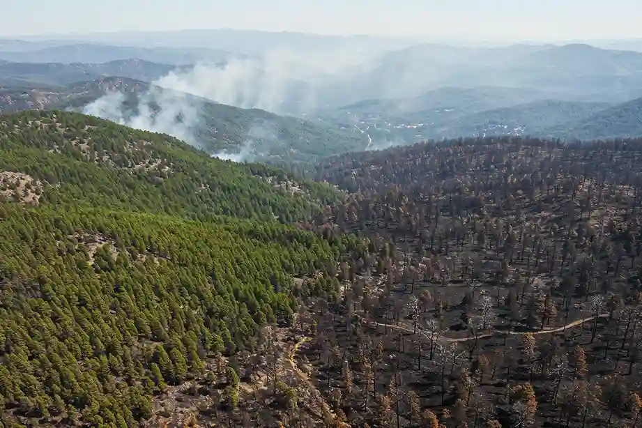 Incendios forestales en México: por qué abril es el mes más crítico